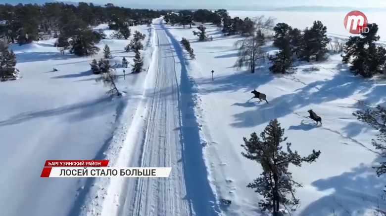 дождливый день. спеша укрыться. увидел тебя во сне. укрываться от проблем. человек под дождем.