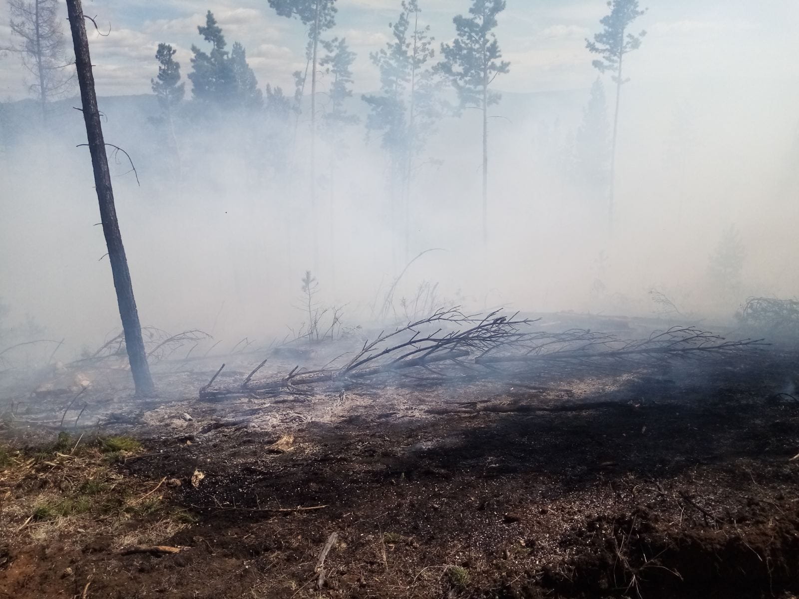 В Бурятии за сутки  возникло 6 лесных пожаров