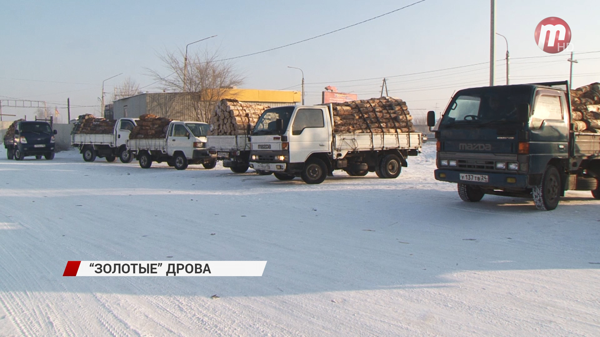 Дрова в бурятии. Улан-Удэ дрова подорожали. Дрова пятаки. Рост цен на дрова Бурятия.