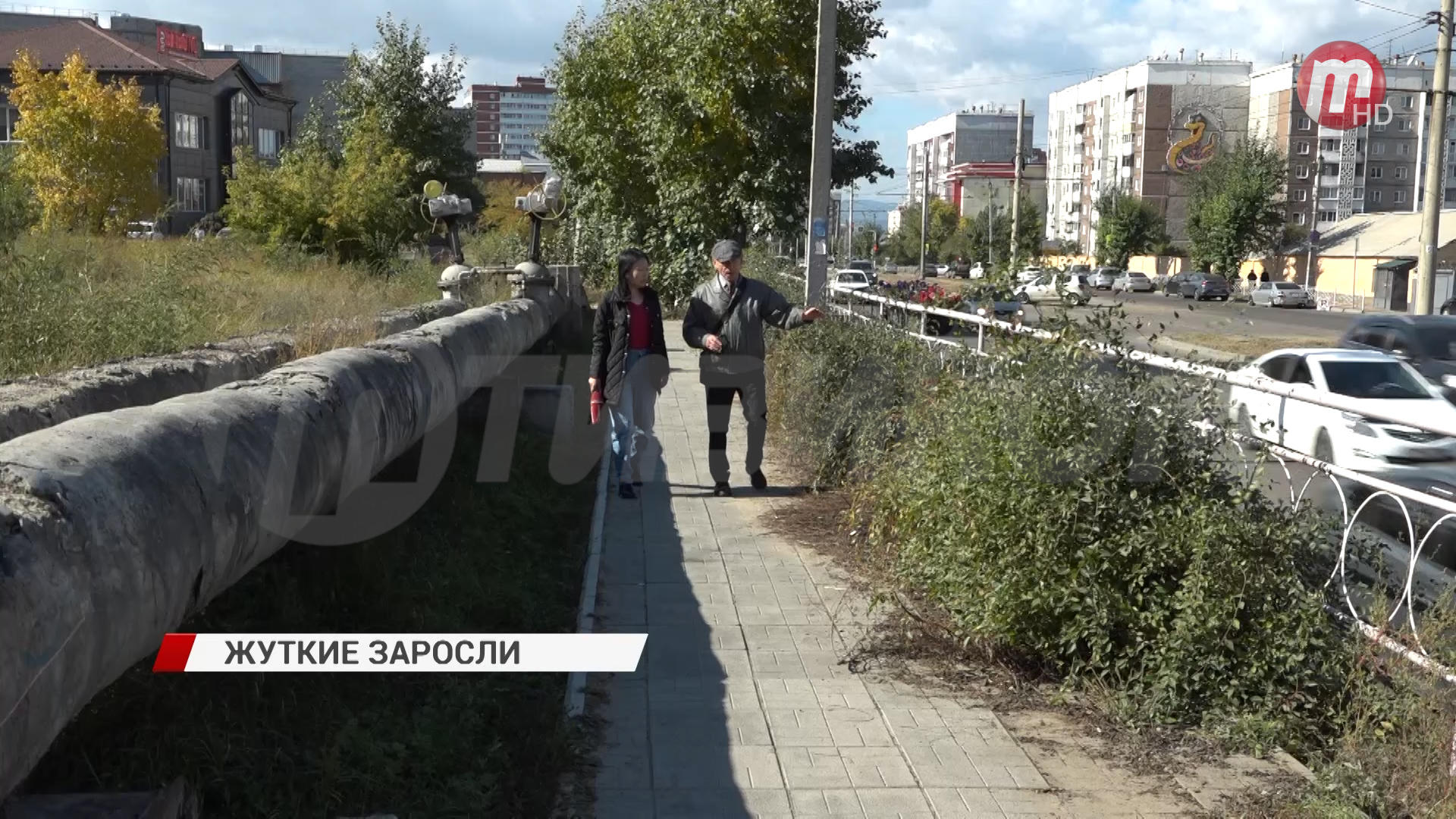 Жители домов на улице Боевой жалуются на обильные заросли вдоль тротуара