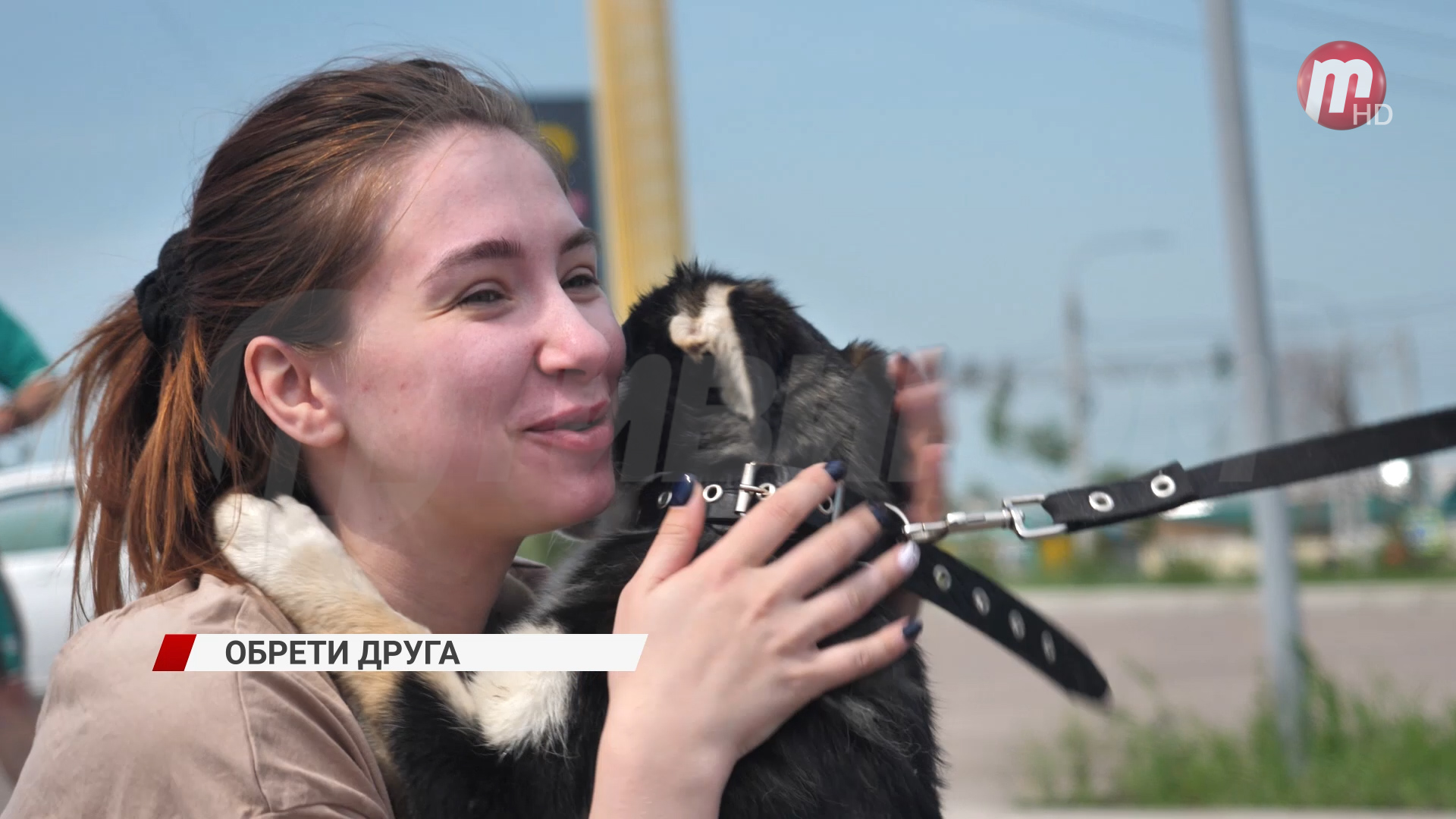 Обрели друзей. В Улан-Удэ прошла ярмарка бездомных животных