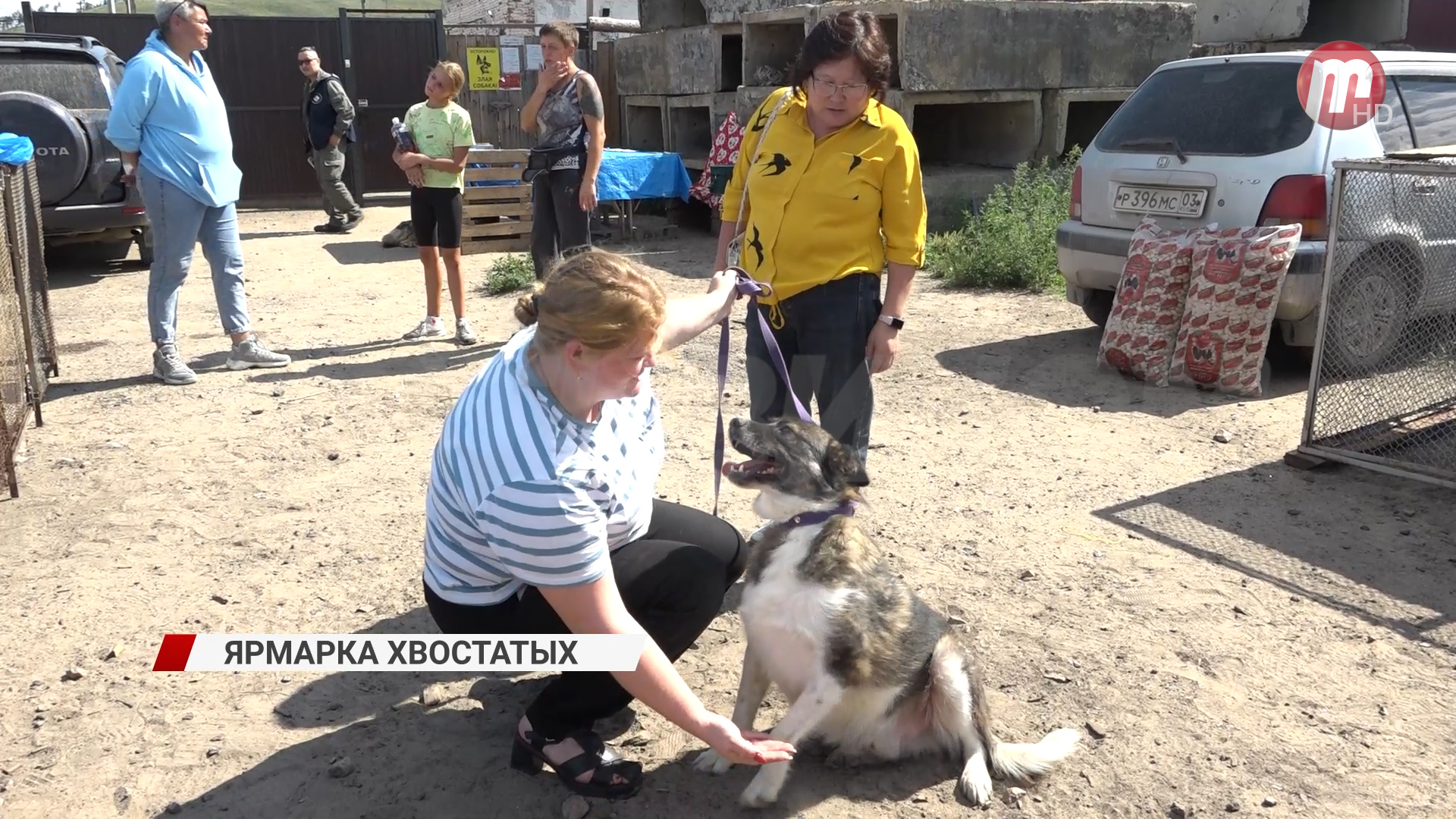 Найти друга и спасти живую душу