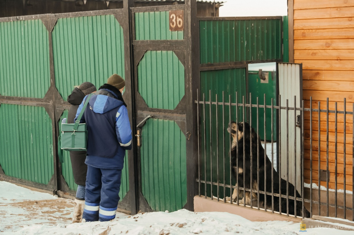 15 декабря в мкрн Солдатский пройдет большой рейд по отлову безнадзорных животных
