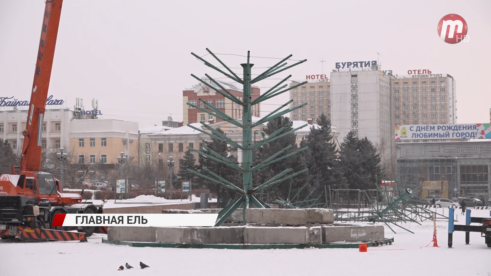 На центральной площади Улан-Удэ начали установку новогодней ёлки. ВИДЕО