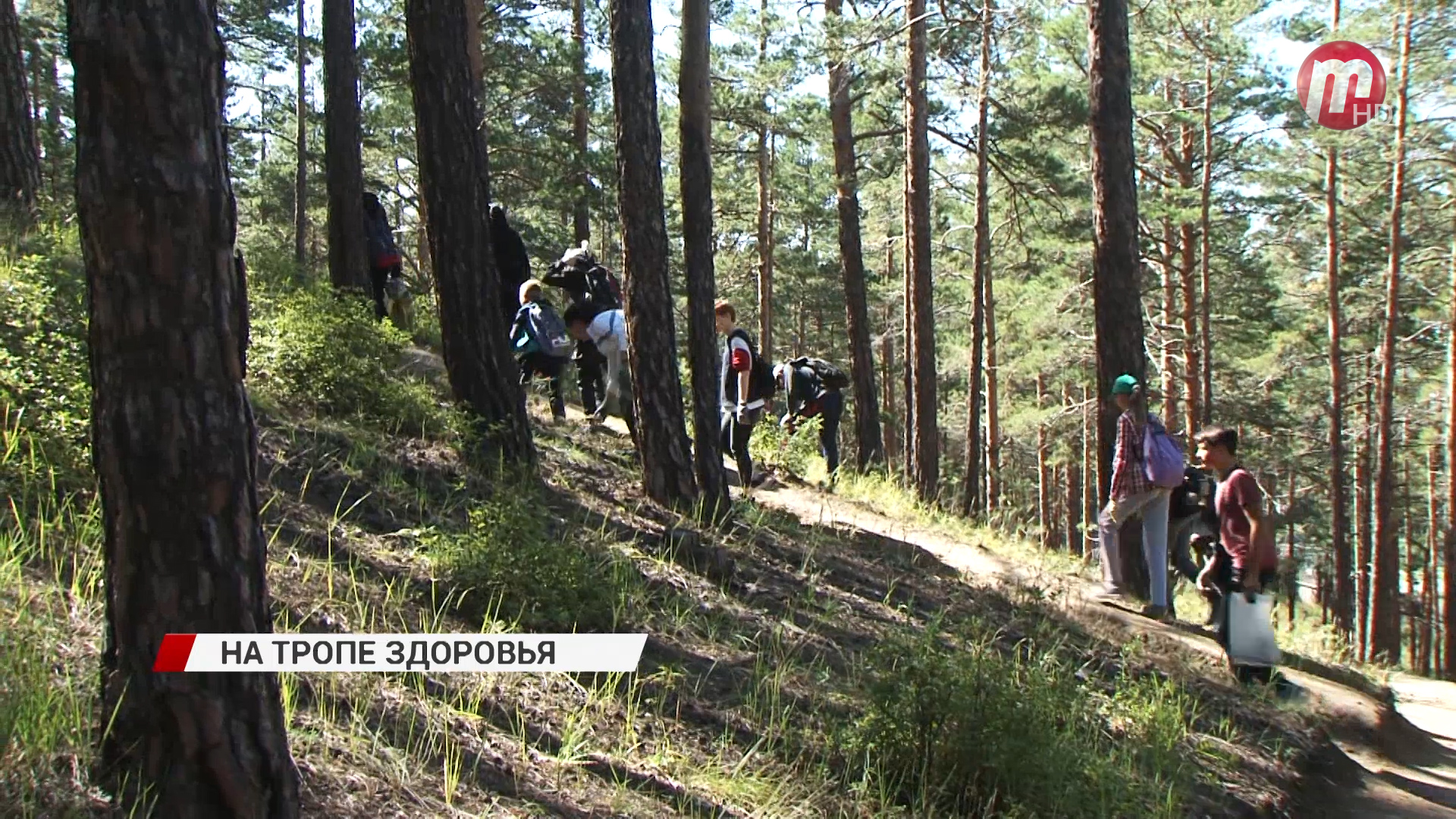 В Улан-Удэ воспитанники 4-ой спортивной школы устроили экодесант в лесу