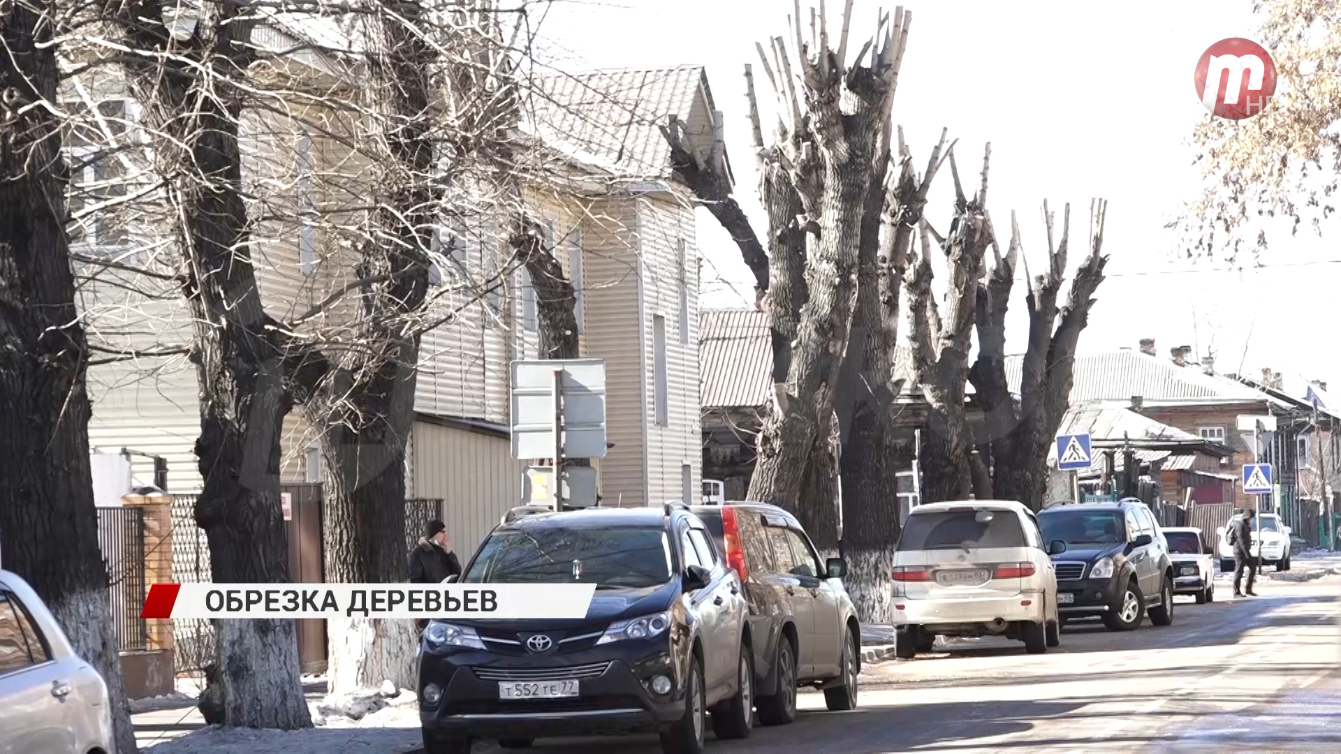 В Улан-Удэ стартовала весенняя обрезка деревьев